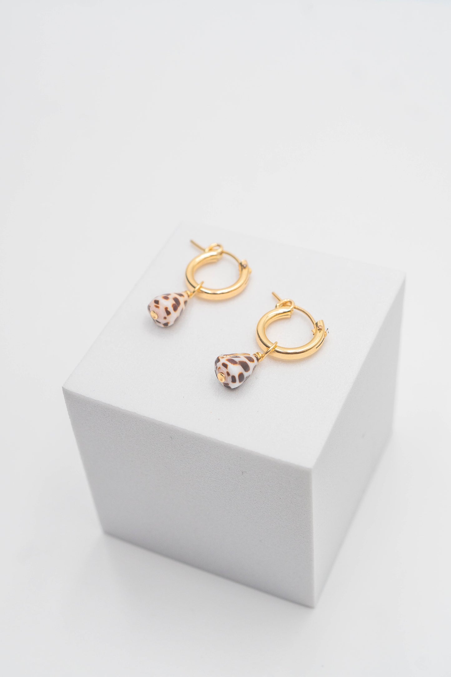 Baby Hebrew Cone Shell Earrings 0.25 Inch
