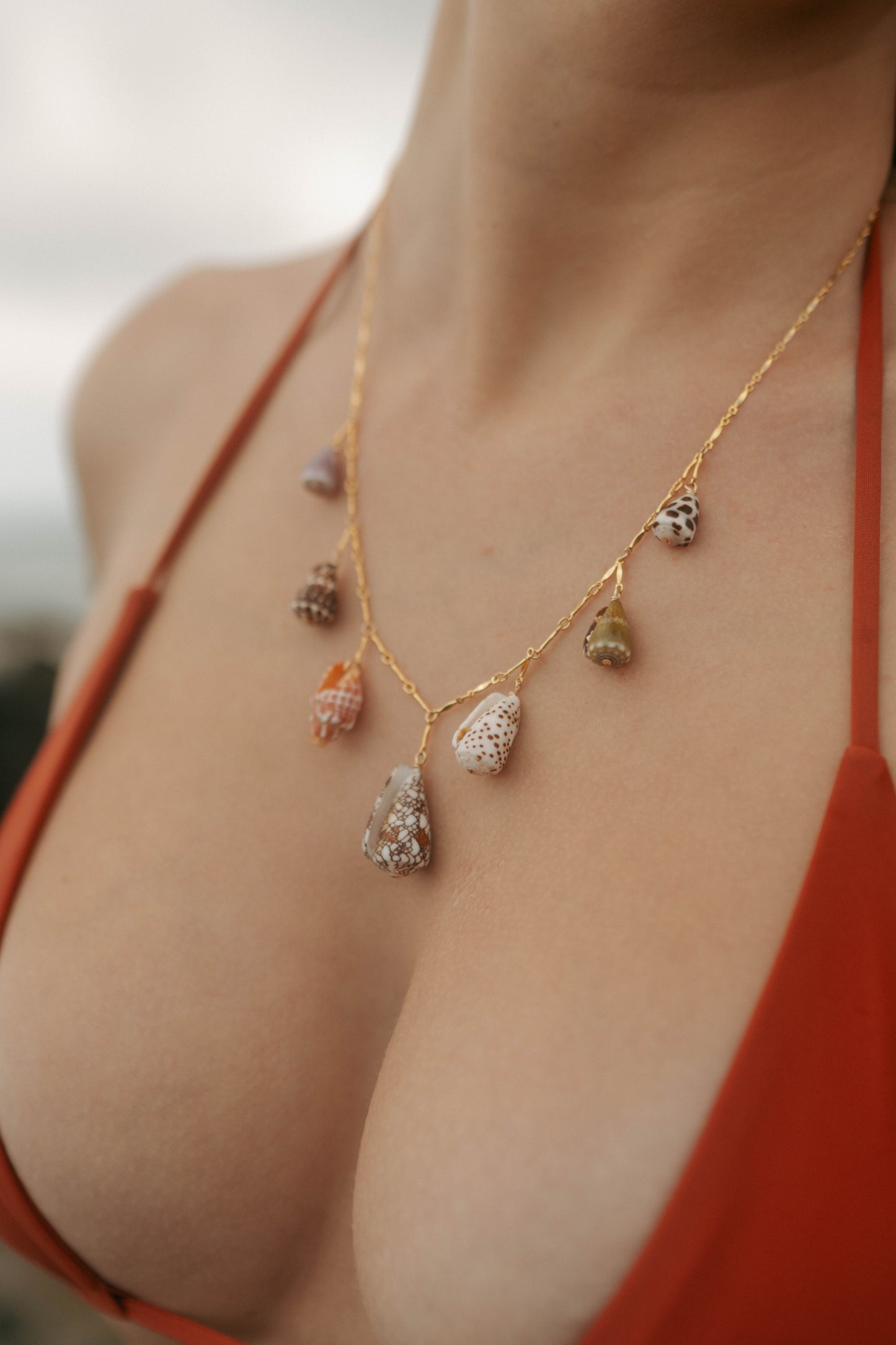 Multi Shell Charm Necklace