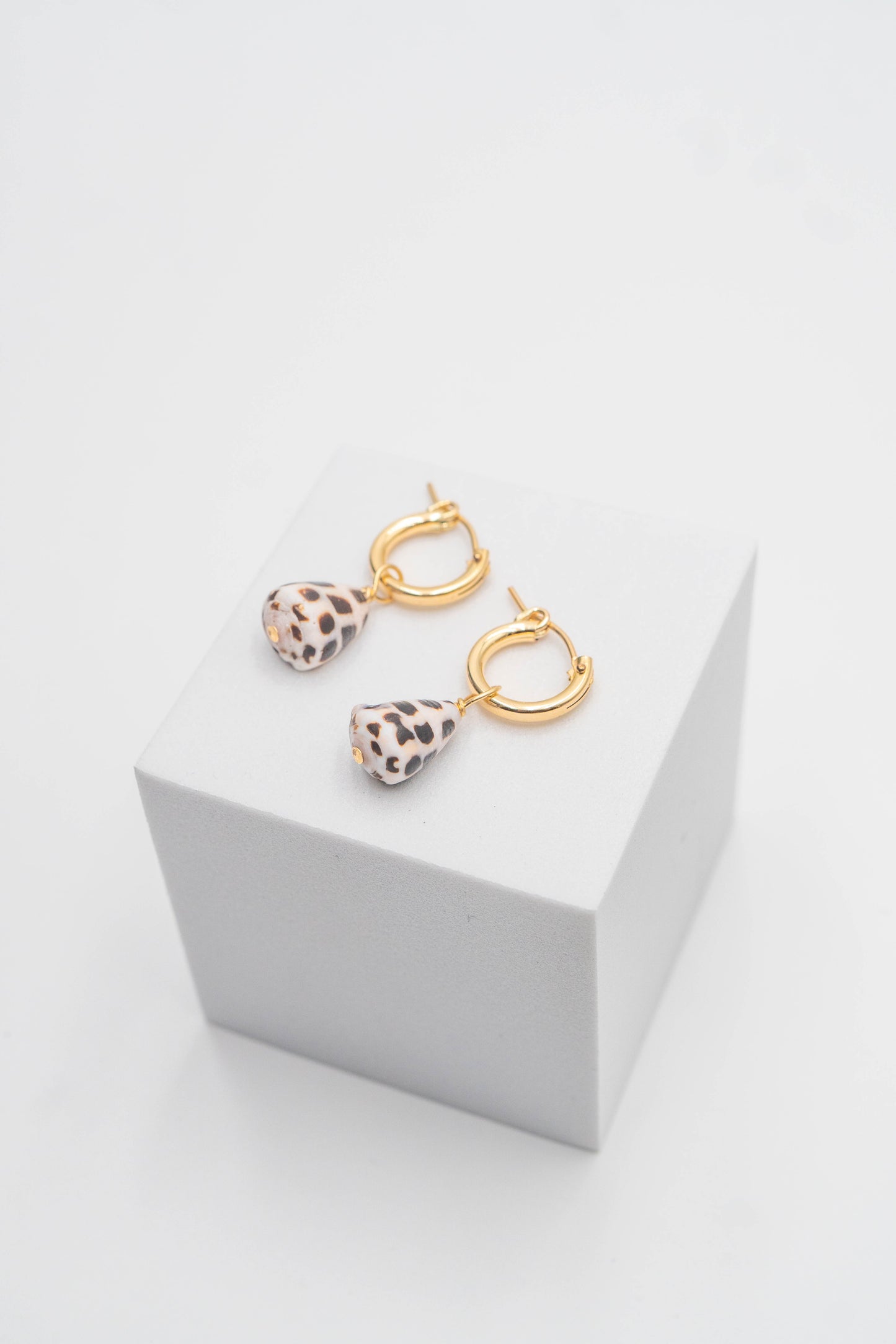 Baby Hebrew Cone Shell Earrings 0.5 Inch