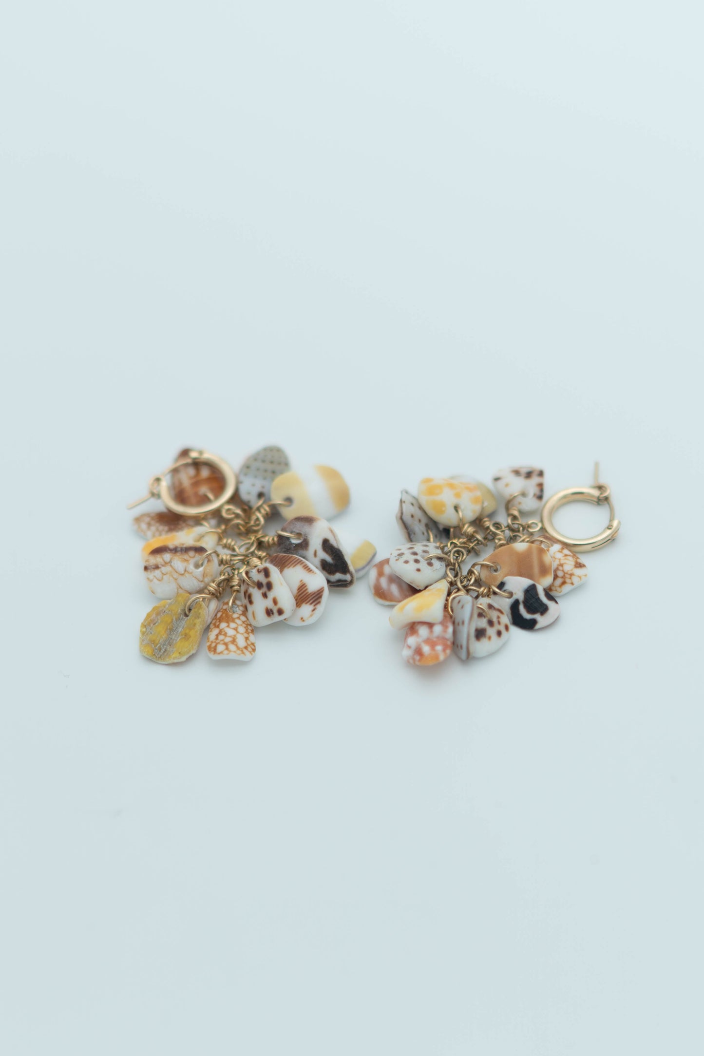 Shell Pieces Earrings