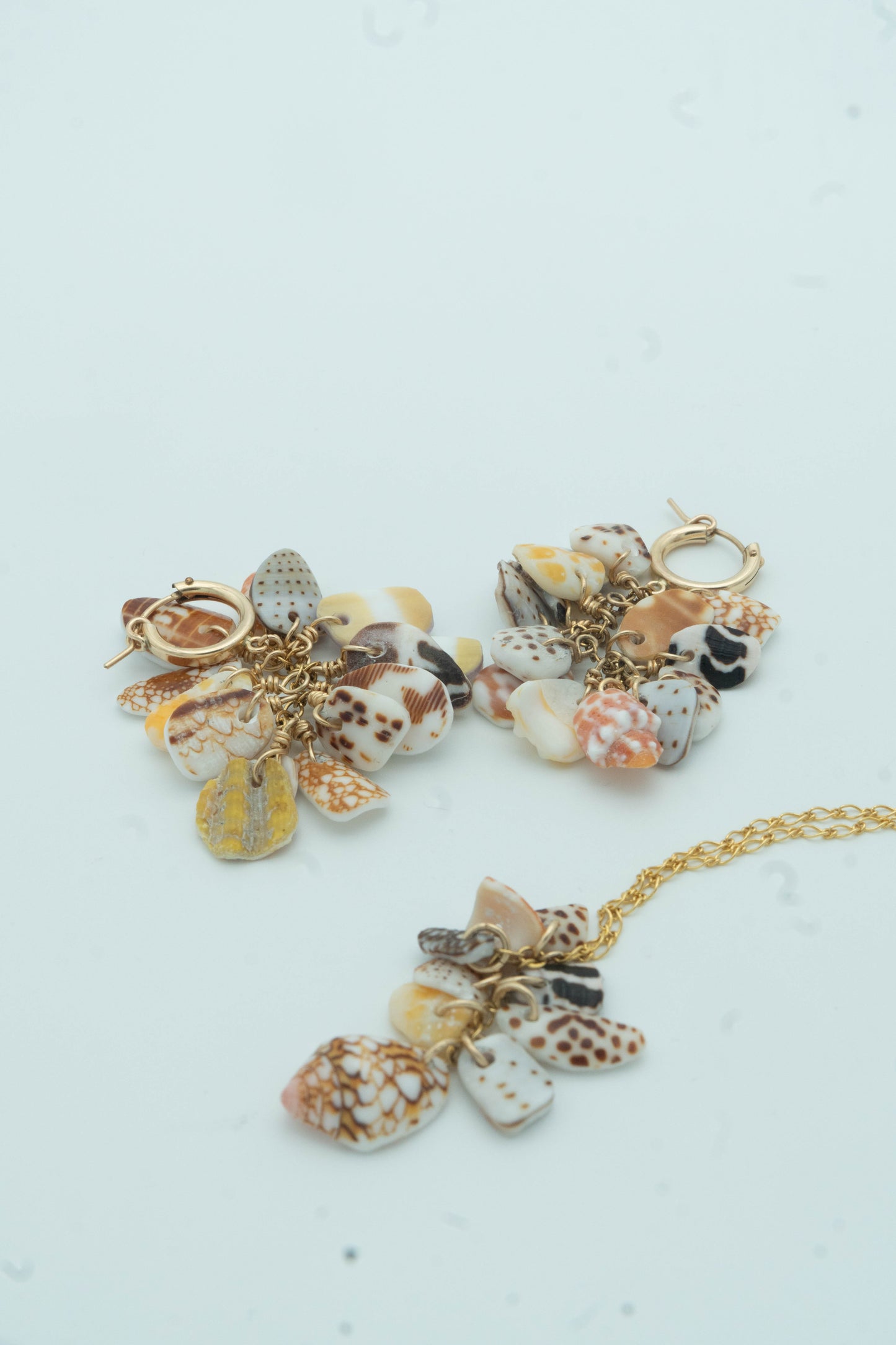 Shell Pieces Necklace