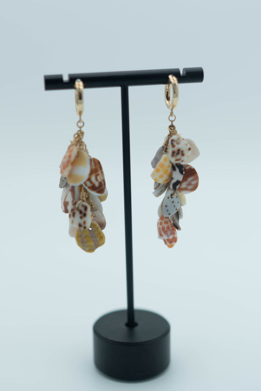 Shell Pieces Earrings
