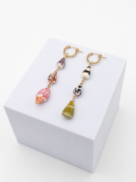 Multi Shell Earrings