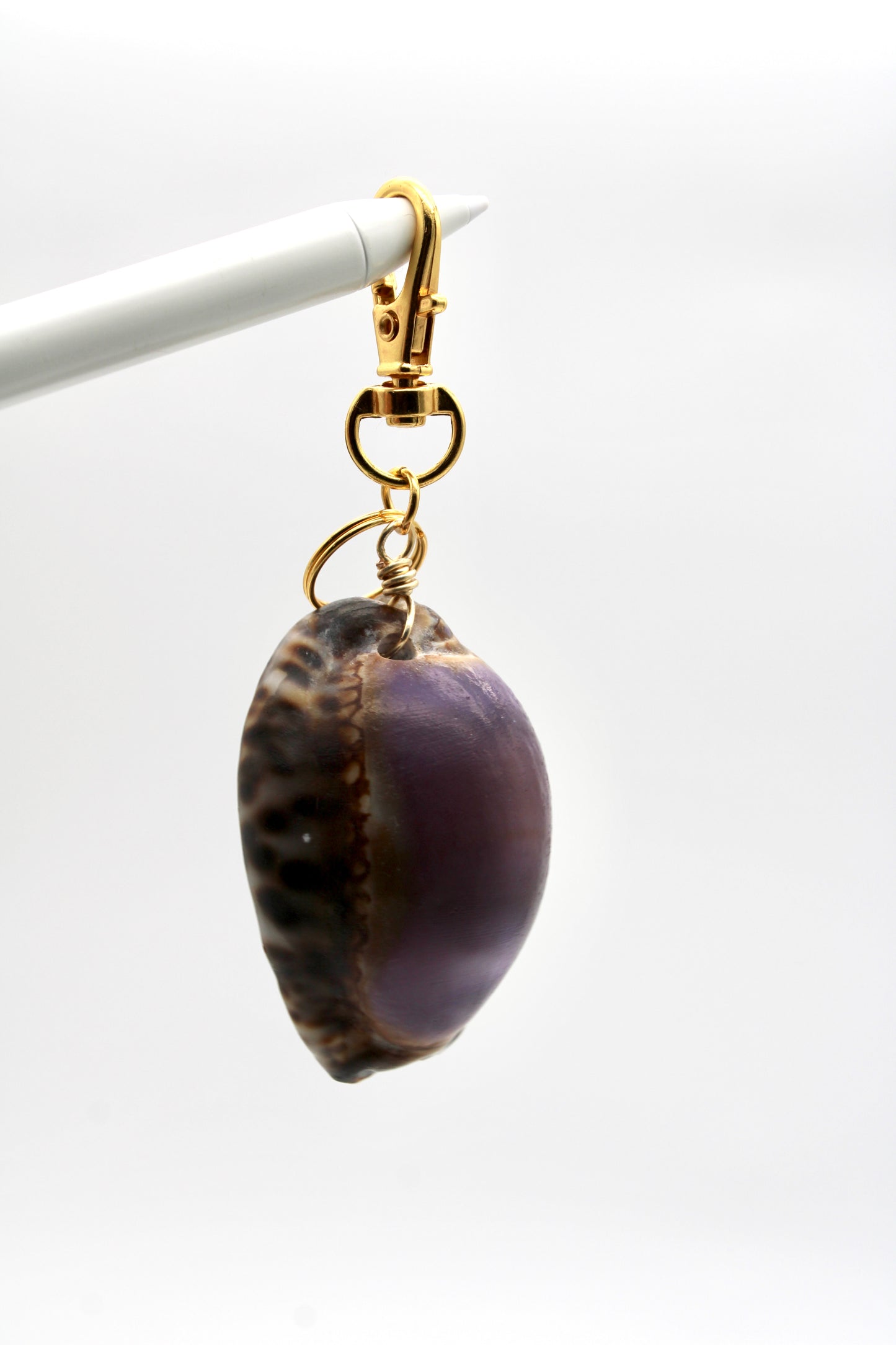 Purple Reticulated Cowry Key Chain