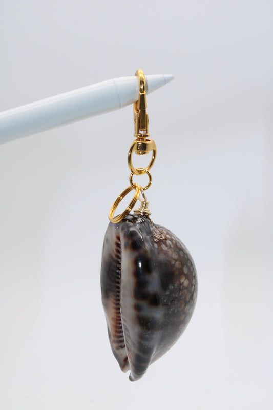 Reticulated Cowry Key Chain